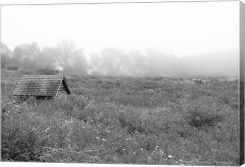 In the Fog by Delaney Flanders