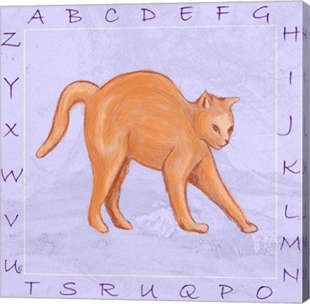 Cat Alphabet
