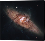 Galactic Silhouettes