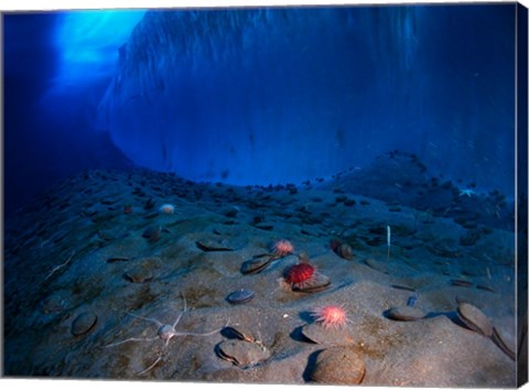 Ice Wall and the Ocean Floor at Explorer's Cover