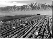 Farm Workers and Mt. Williamson by Ansel Adams