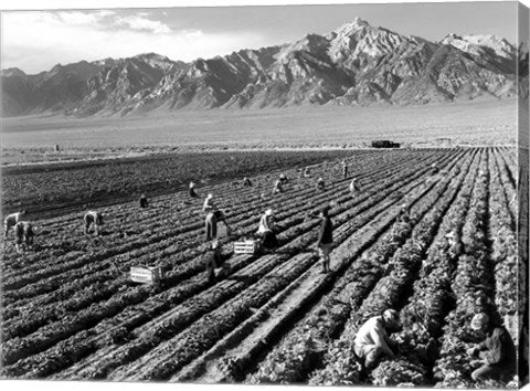 Farm Workers and Mt. Williamson by Ansel Adams