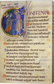 Initial C from 105th Psalm In Albani Psalter