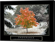 Endurance - Fall Tree