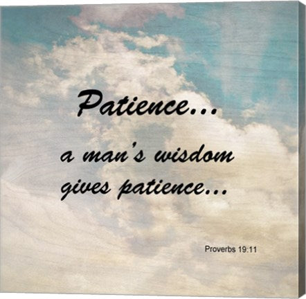 Patience Proverbs 19:11 Against the Sky
