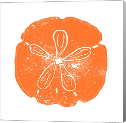 Orange Sand Dollar by Veruca Salt