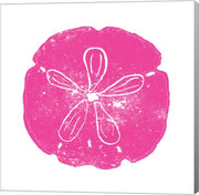 Pink Sand Dollar by Veruca Salt