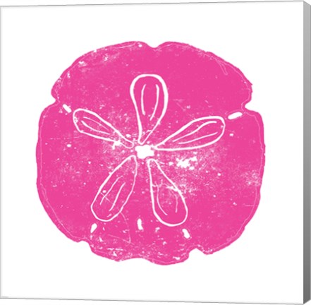 Pink Sand Dollar by Veruca Salt