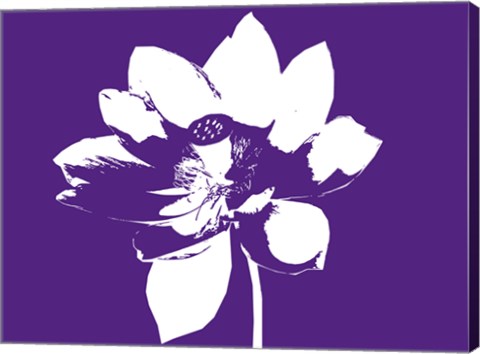 Lilly on Purple by George Dilorenzo