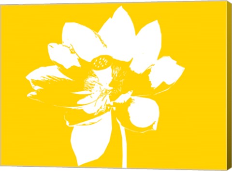 Lilly on Yellow by George Dilorenzo