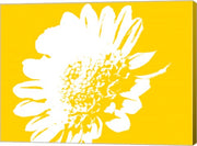 Yellow Mum by George Dilorenzo