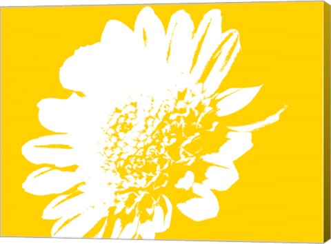 Yellow Mum by George Dilorenzo