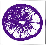 Purple Orange Slice by Veruca Salt