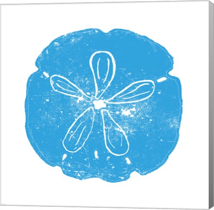 Blue Sand Dollar by Veruca Salt