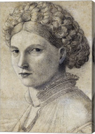 Portrait of a Young Woman by Andrea Previtali
