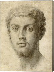 Head of a Man by Agnolo Bronzino