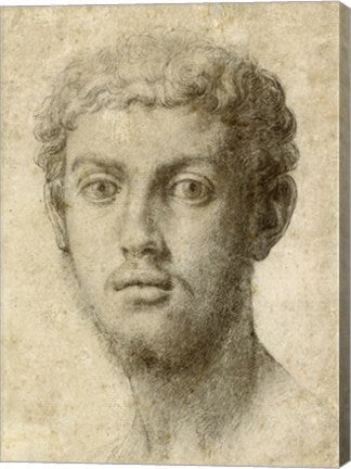 Head of a Man by Agnolo Bronzino
