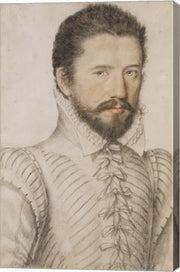 Portrait of a Bearded Man Wearing a Slashed Doublet