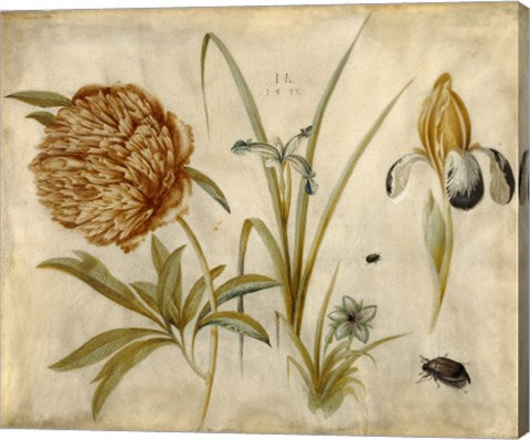 Flowers and Beetles by Hans Hofmann