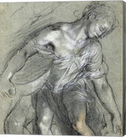 Figure Study by Federico Barocci
