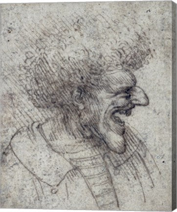Caricature of a Man with Bushy Hair by Leonardo Da Vinci