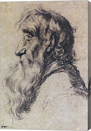 Head of an Old Man by Jacques De gheyn