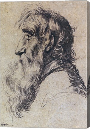 Head of an Old Man by Jacques De gheyn
