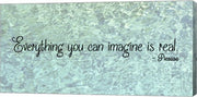 Everything You Can Imagine - Picasso by Veruca Salt