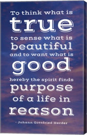 Life in Reason by Veruca Salt