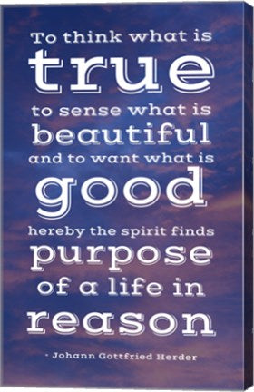 Life in Reason by Veruca Salt