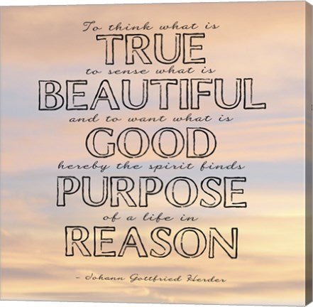 Life in Reason square by Veruca Salt