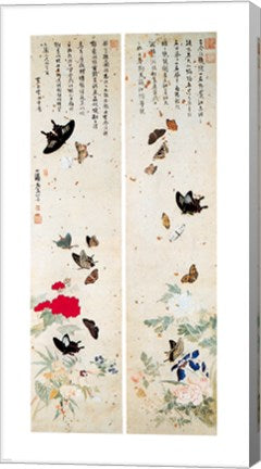 Butterflies - script