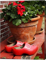 Dutch Clog Still Life