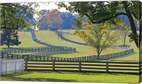 Stacked Split-Rail Fences in Appomattox, Virginia