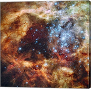 Hubble's Festive View of a Grand Star-Forming Region by NASA, ESA, STScl