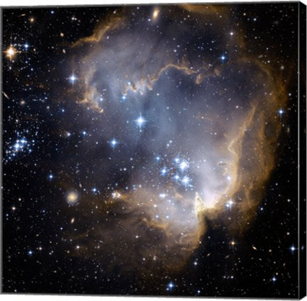 Hubble Observes Infant Stars in Nearby Galaxy by NASA, ESA, STScl
