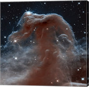 Hubble Sees a Horsehead of a Different Color by NASA, ESA, STScl