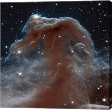 Hubble Sees a Horsehead of a Different Color by NASA, ESA, STScl
