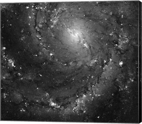 Hubble Space Telescope Imaging of Hot Gas and Star Birth in M101 by NASA, ESA, STScl