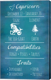 Capricorn Zodiac Sign by Veruca Salt