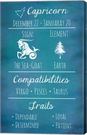 Capricorn Zodiac Sign by Veruca Salt