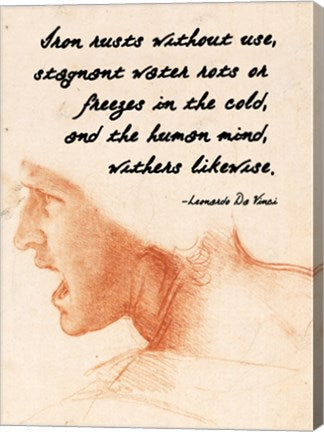 The Human Mind - Da Vinci Quote by Quote Master