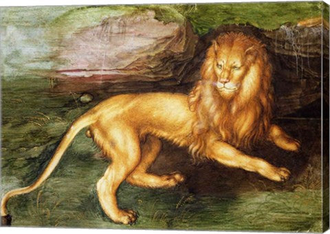 Lion by Albrecht Durer
