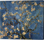 Blossoming Almond Tree, Saint-Remy, c.1890 Detail by Vincent Van Gogh