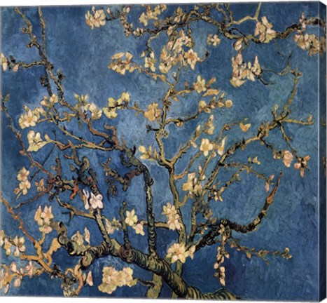 Blossoming Almond Tree, Saint-Remy, c.1890 Detail by Vincent Van Gogh