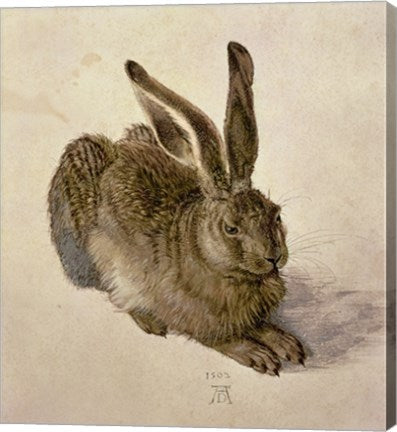 Young Hare, c.1502 by Albrecht Durer