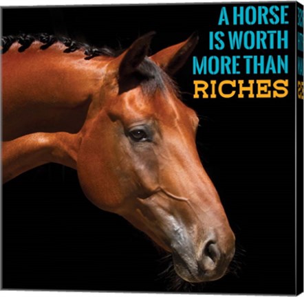 Horse Quote 6 by Sports Mania