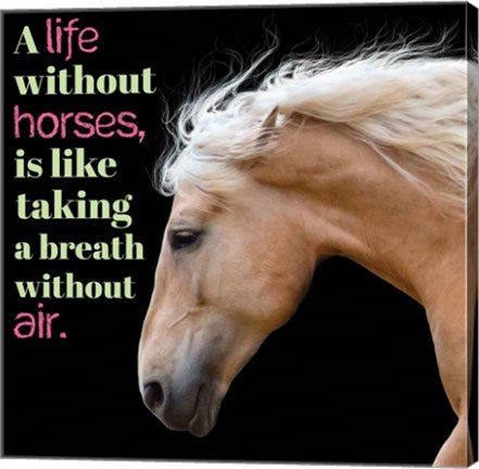 Horse Quote 7 by Sports Mania