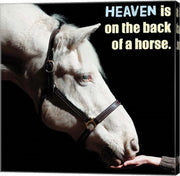Horse Quote 9 by Sports Mania