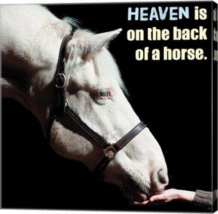 Horse Quote 9 by Sports Mania